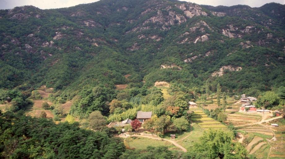 영동 영국사 대웅전이미지