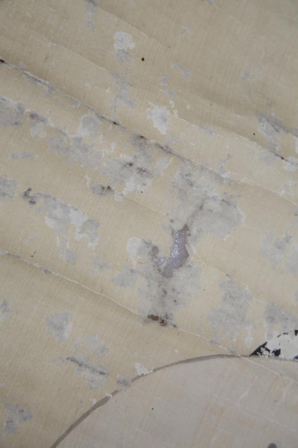 제천 국가유산 사진