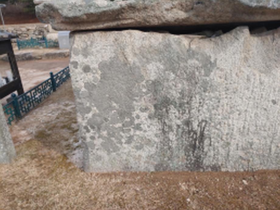 충주 미륵리 오층석탑 정밀안전진단 보고서