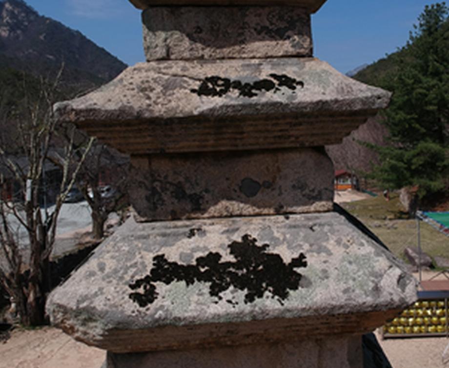 충주 미륵리 오층석탑 정밀안전진단 보고서