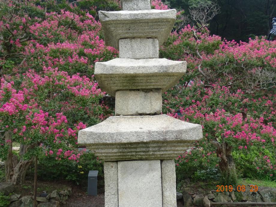 충청북도 문화재돌봄사업