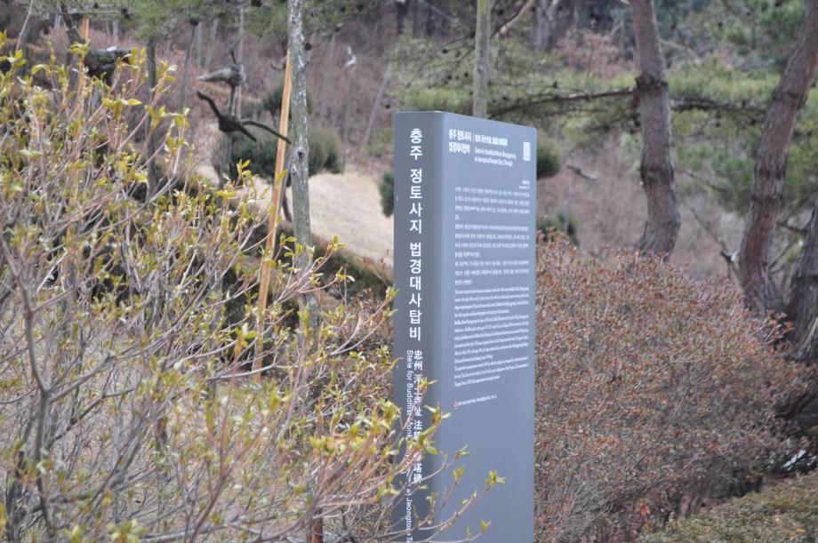 충주 정토사지 법경대사탑비이미지