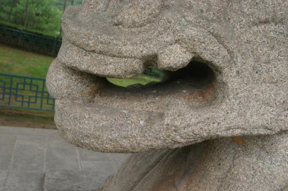 충주정토사지법경대사탑비 정밀실측조사보고서