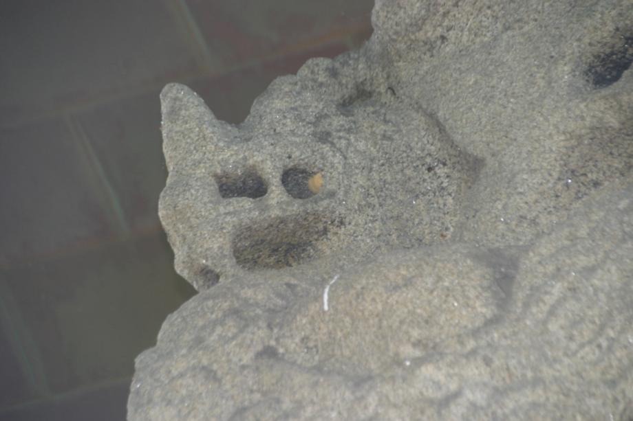 충주정토사지법경대사탑비 정밀실측조사보고서