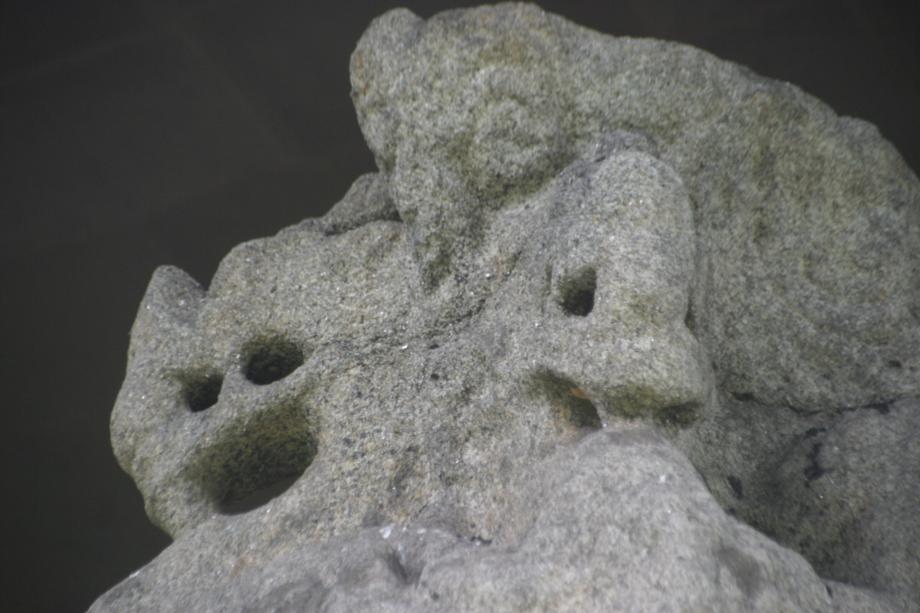 충주정토사지법경대사탑비 정밀실측조사보고서