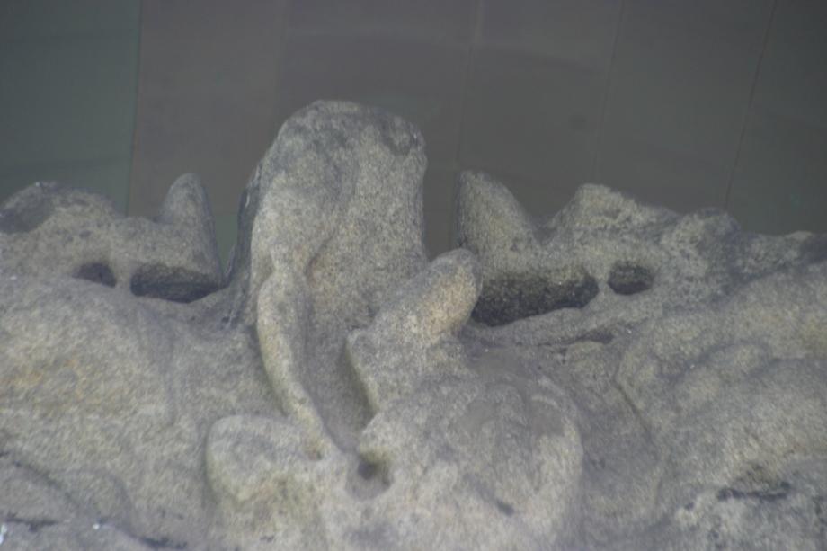 충주정토사지법경대사탑비 정밀실측조사보고서