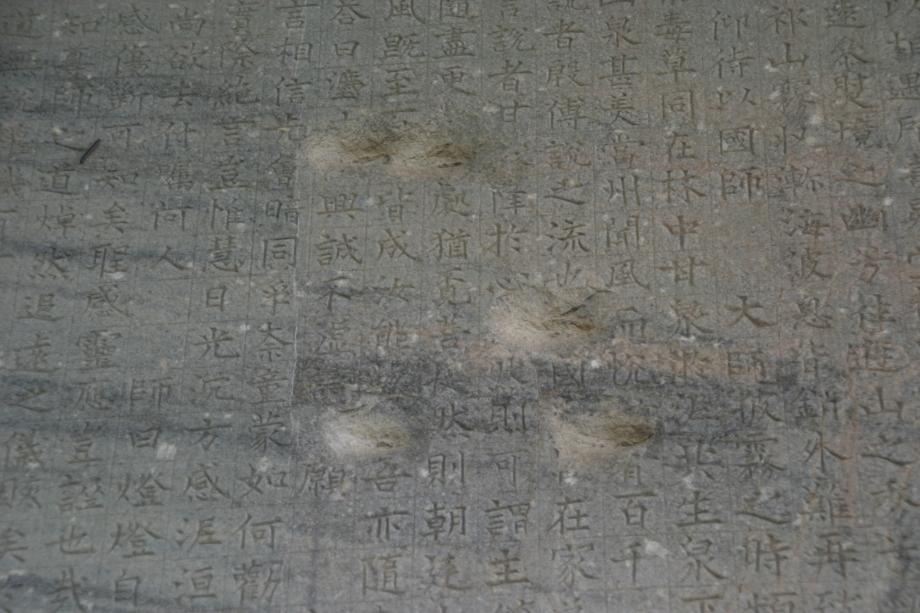 충주정토사지법경대사탑비 정밀실측조사보고서