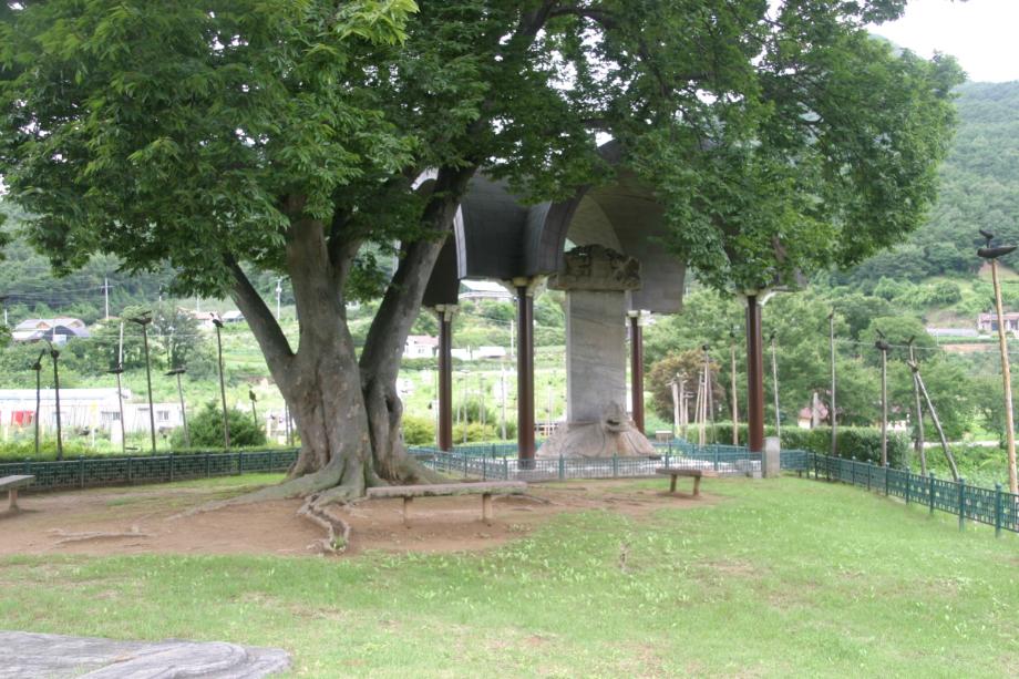 충주정토사지법경대사탑비 정밀실측조사보고서