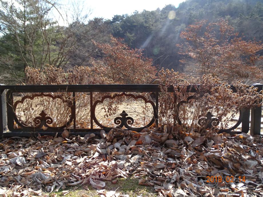 제천 사자빈신사지 사사자 구층석탑이미지