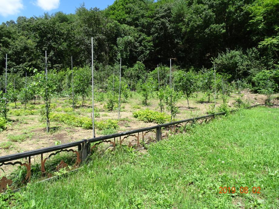 제천 사자빈신사지 사사자 구층석탑이미지