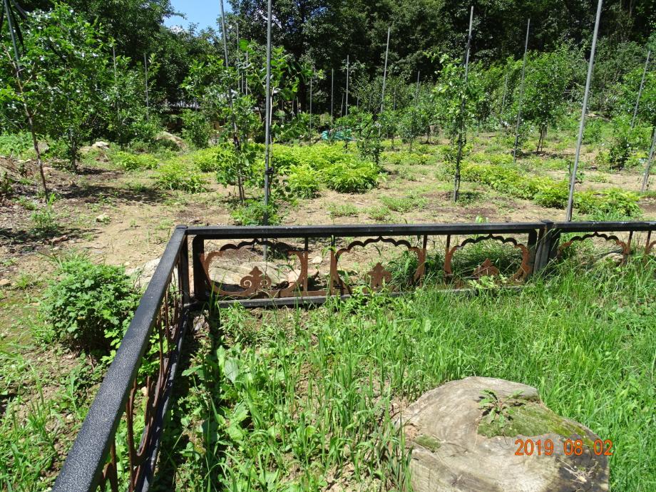 제천 사자빈신사지 사사자 구층석탑이미지