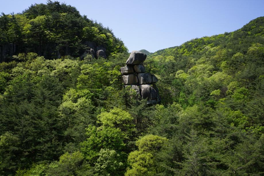 속리산에 깃든 유교문화