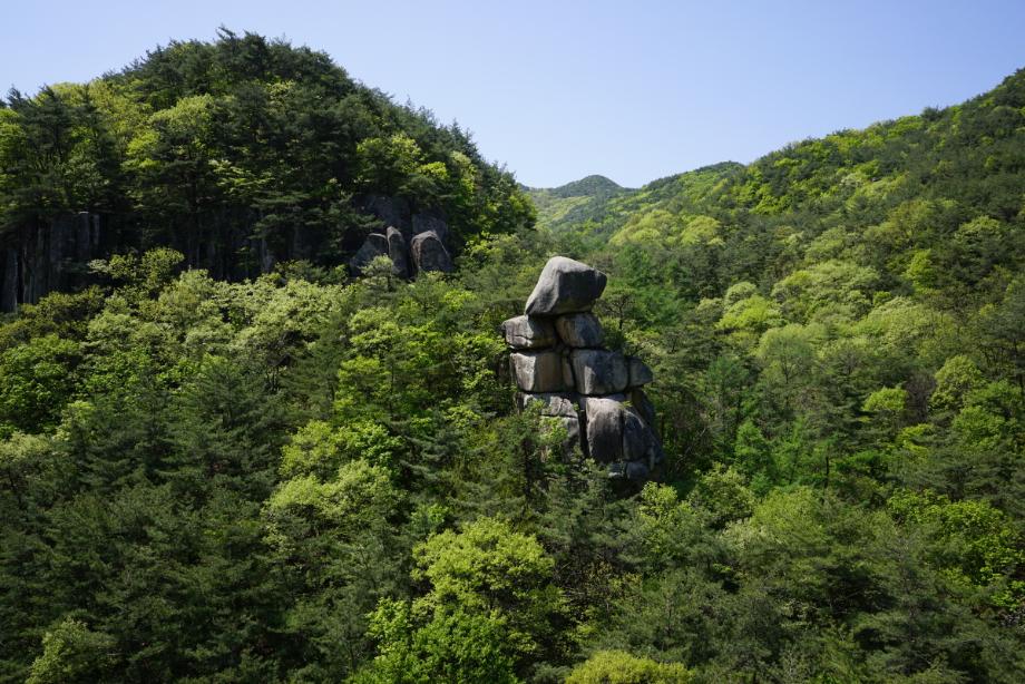 속리산에 깃든 유교문화