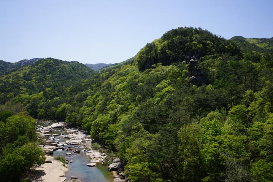 속리산에 깃든 유교문화