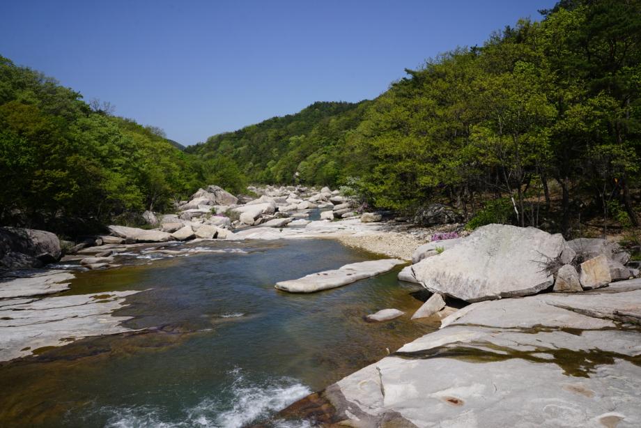 속리산에 깃든 유교문화
