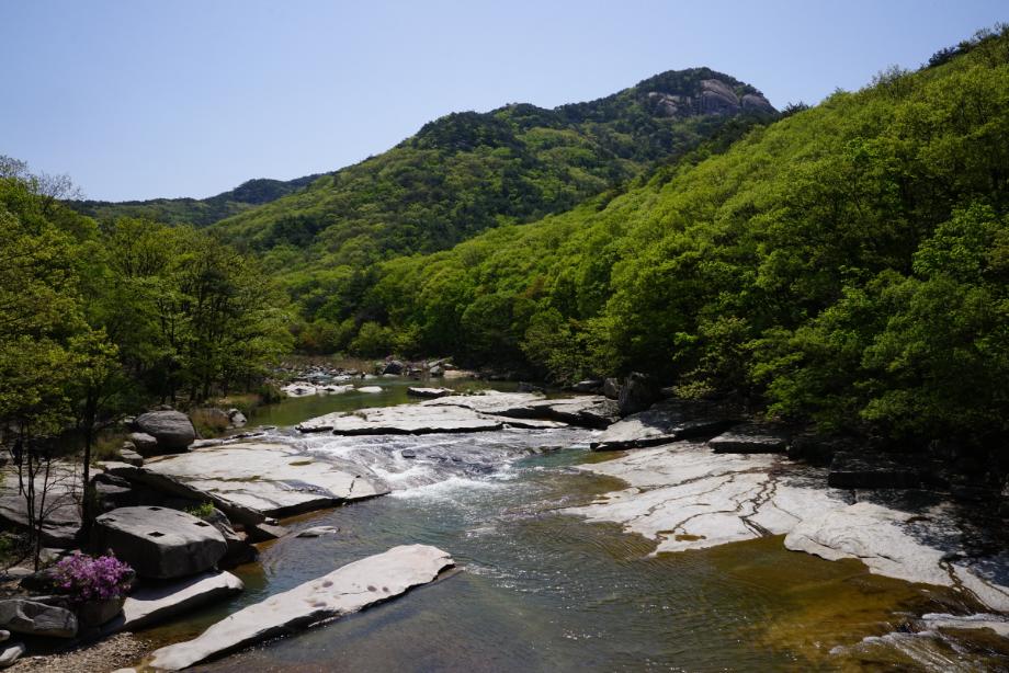 속리산에 깃든 유교문화