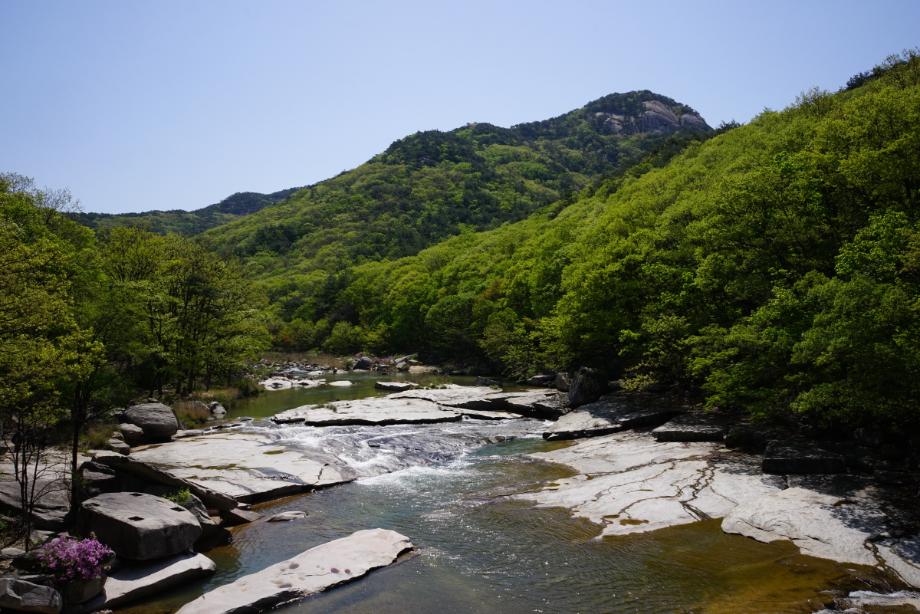 속리산에 깃든 유교문화