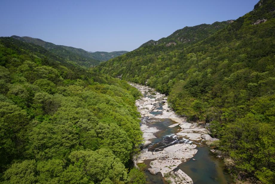 속리산에 깃든 유교문화