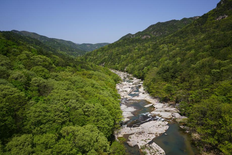속리산에 깃든 유교문화
