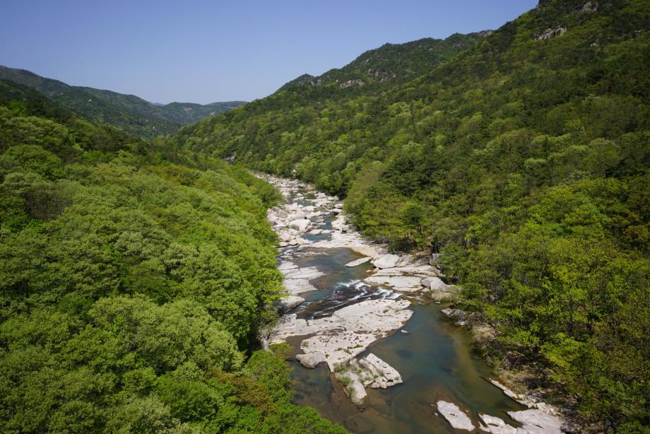 속리산에 깃든 유교문화