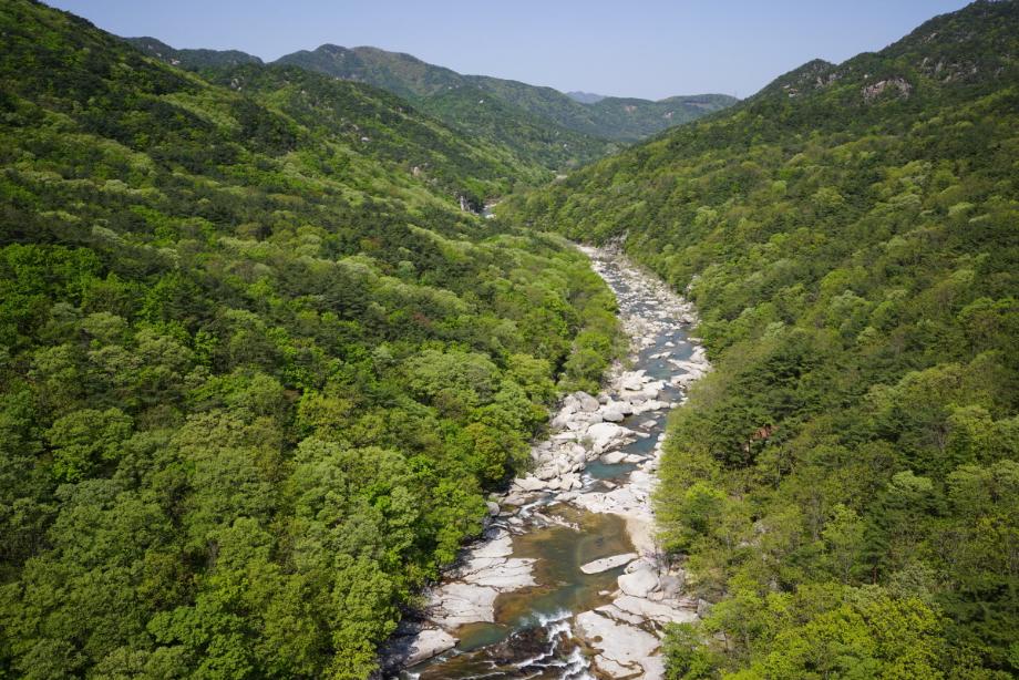속리산에 깃든 유교문화