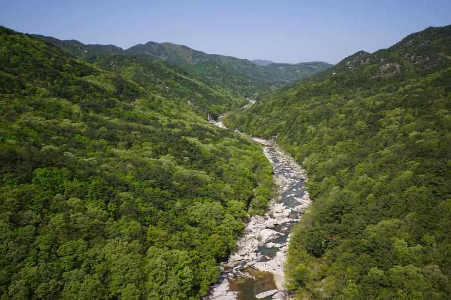 속리산에 깃든 유교문화