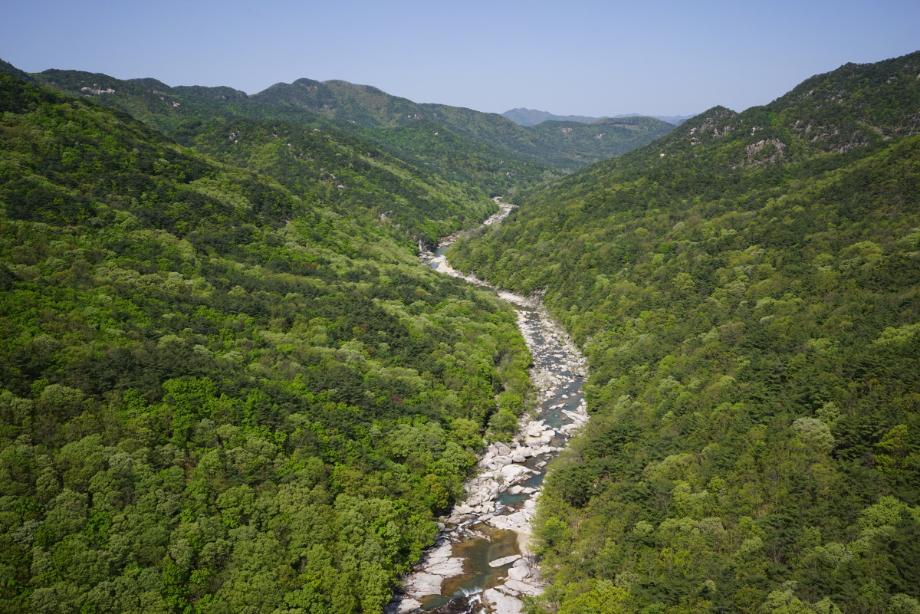 속리산에 깃든 유교문화
