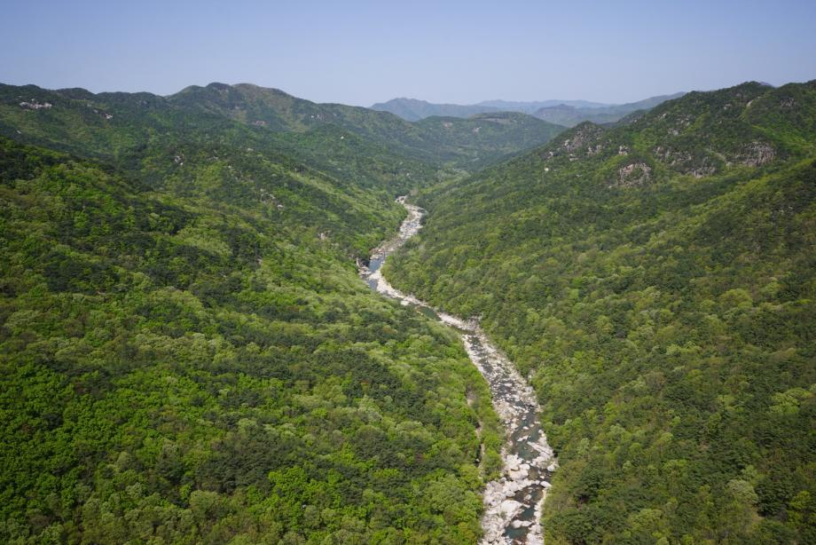 속리산에 깃든 유교문화