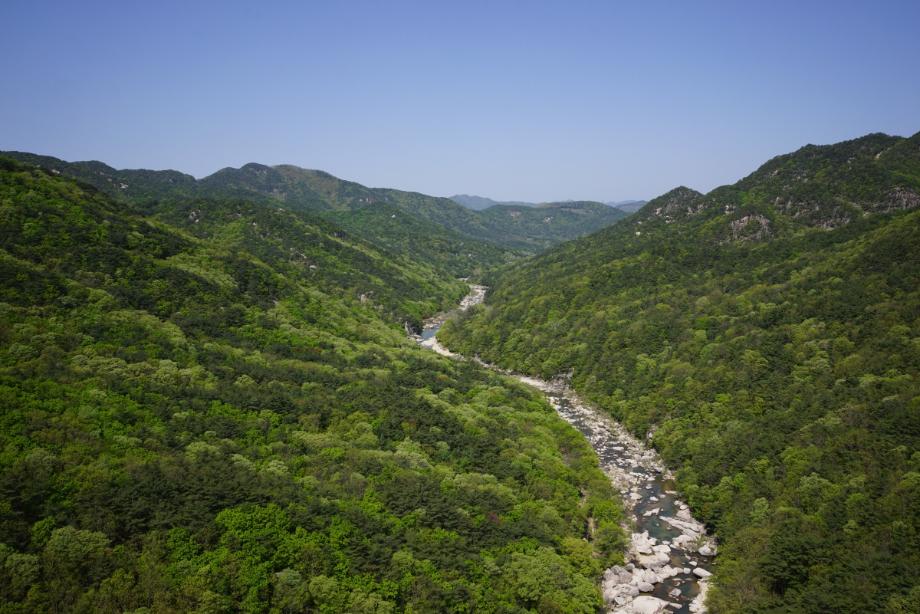 속리산에 깃든 유교문화