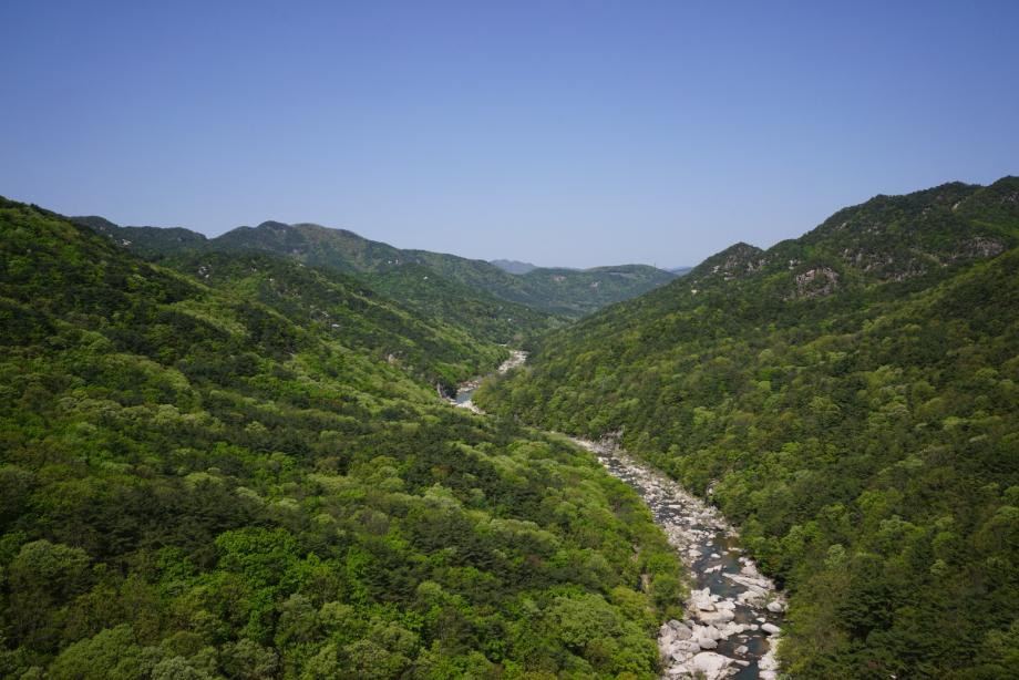 속리산에 깃든 유교문화