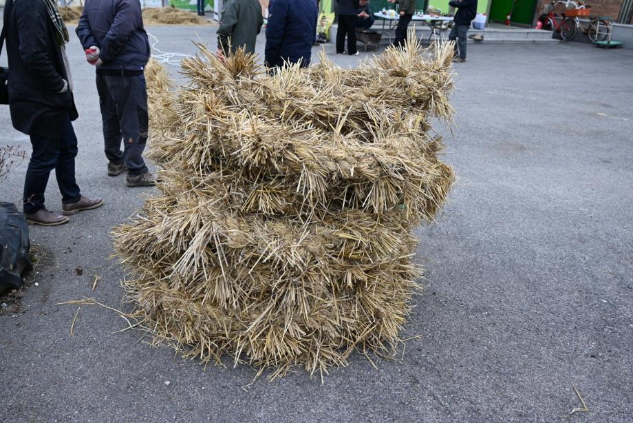 무형문화재 공개행사 모니터링