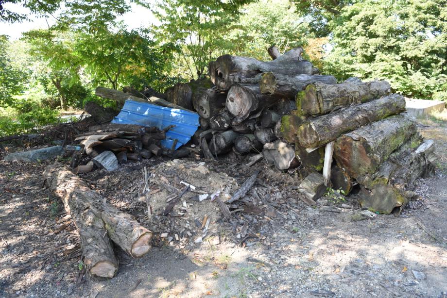 충청북도 무형유산 정기조사