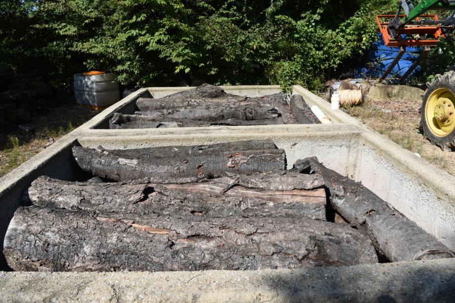 충청북도 무형유산 정기조사