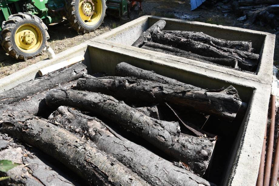 충청북도 무형유산 정기조사