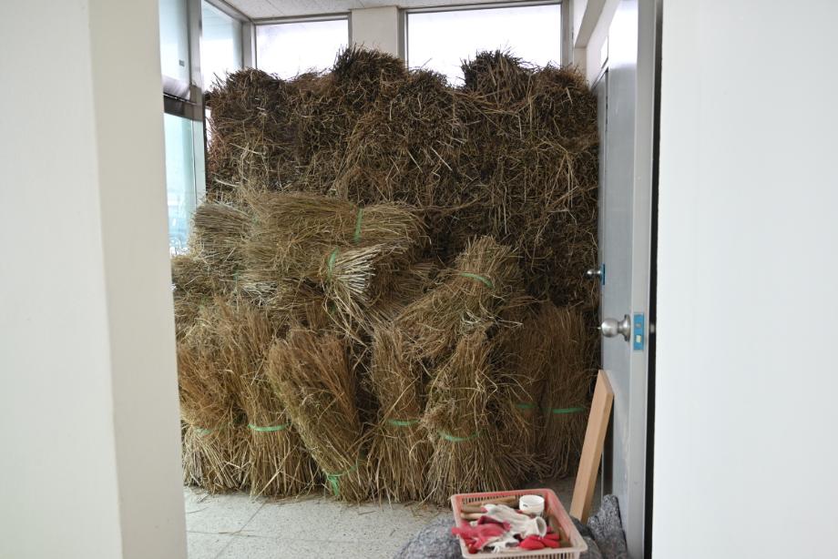 무형유산 공개행사 모니터링