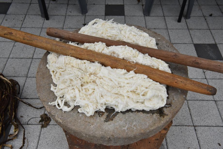 합동공개행사