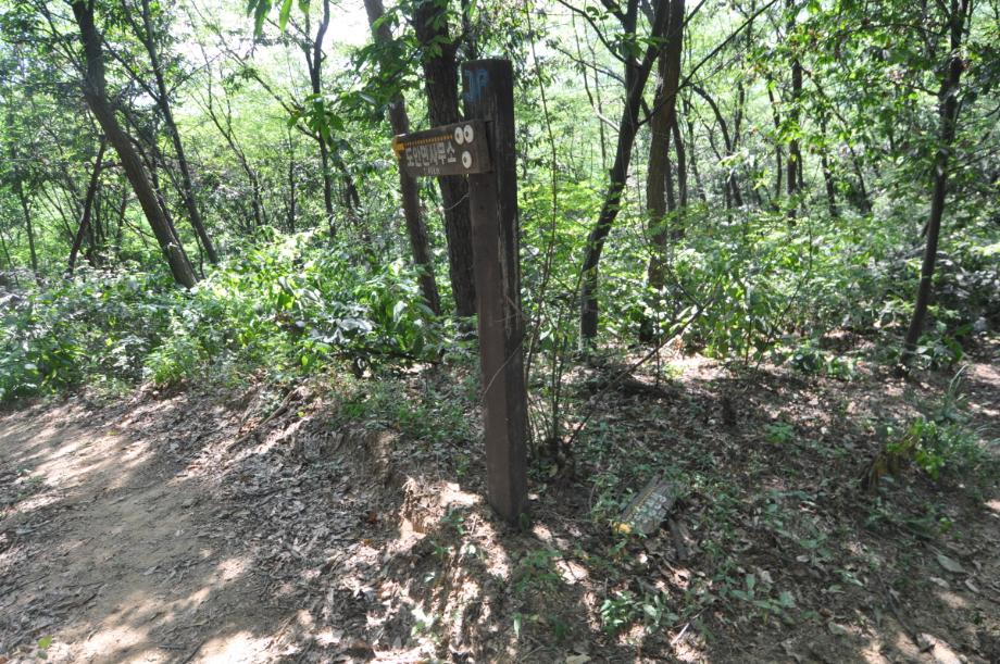 증평 추성산성 종합정비사업 학술연구