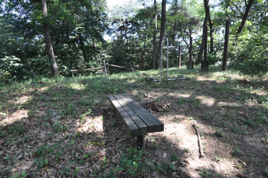 증평 추성산성 종합정비사업 학술연구
