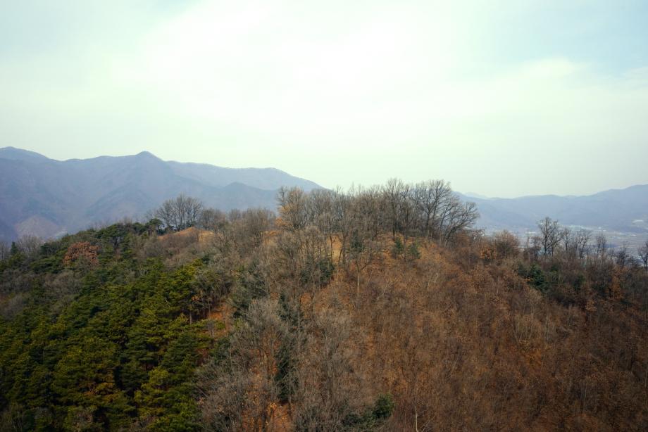 증평 추성산성 종합정비사업 학술연구