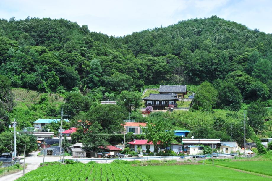 충청북도 도지정(유형)문화재 관리실태 및 개선방안 연구