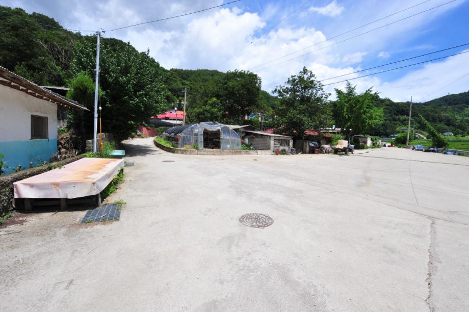 충청북도 도지정(유형)문화재 관리실태 및 개선방안 연구
