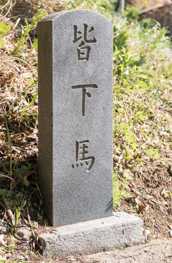 문화재대관