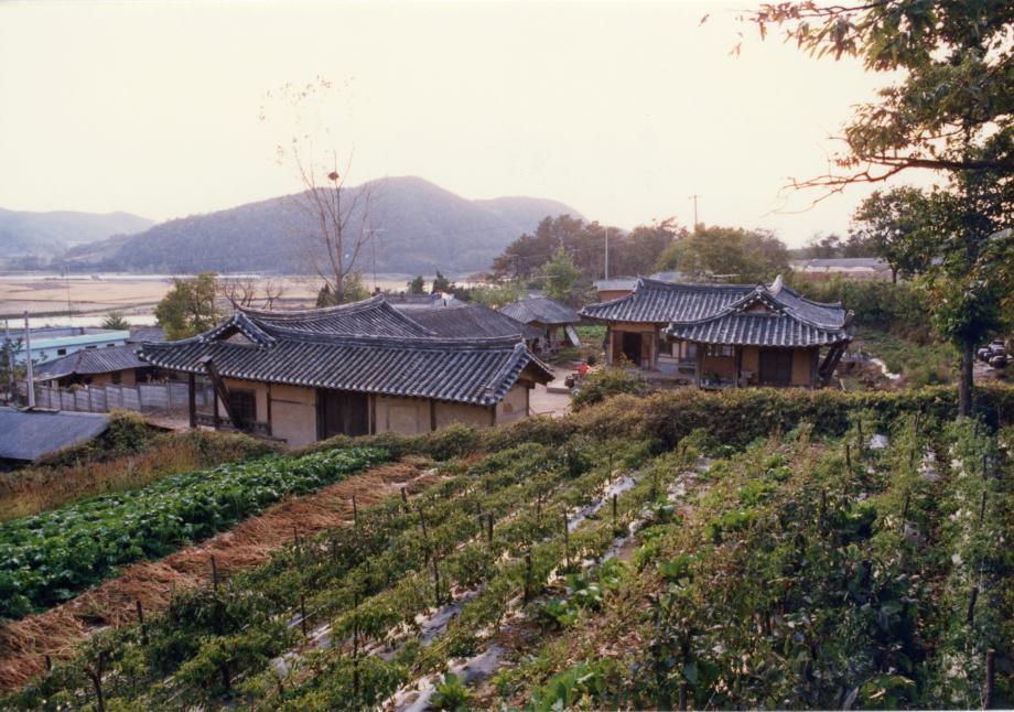충북 문화재 사진