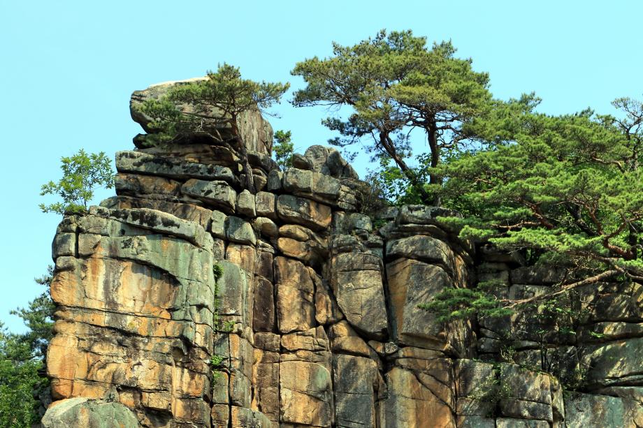 문화재대관
