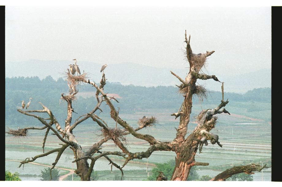 문화재대관