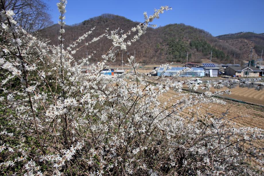 문화재대관
