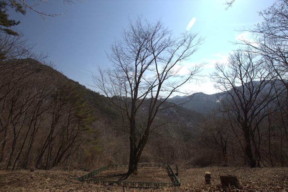 문화재대관