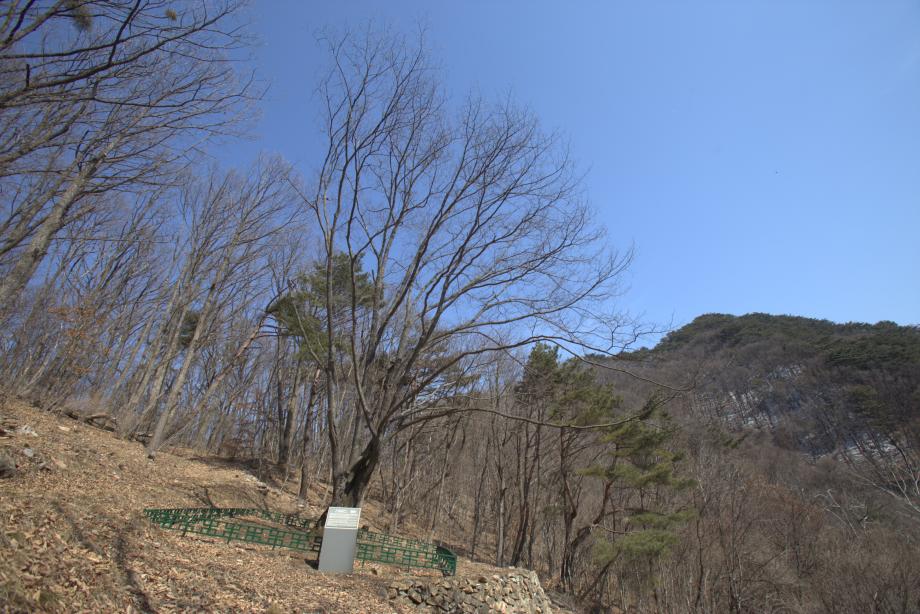 문화재대관