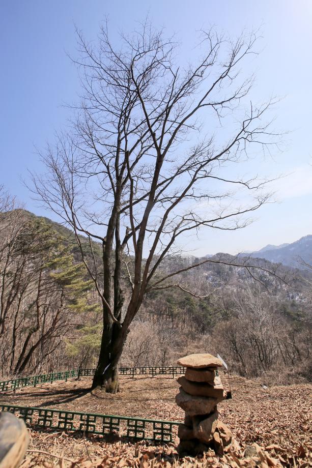 문화재대관