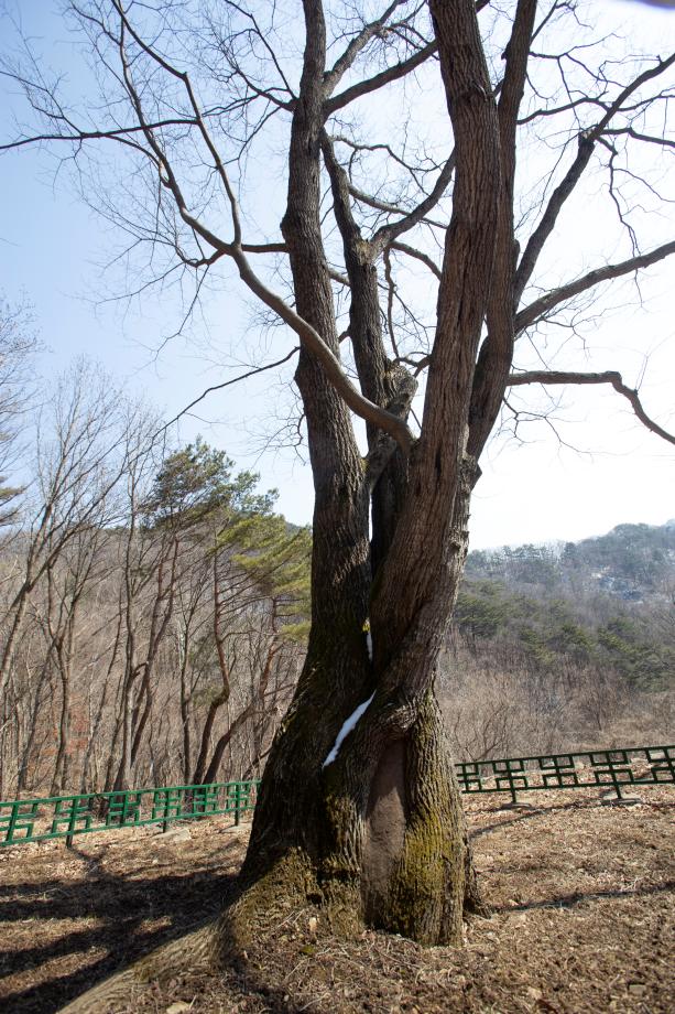 문화재대관